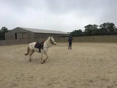 Haras de Lukos