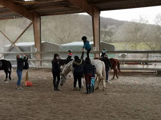 Haras du Mille