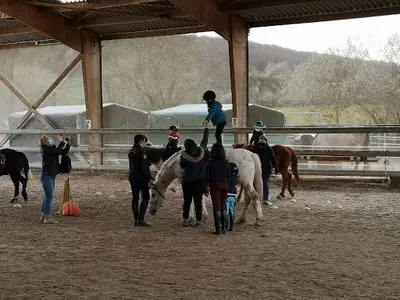 Haras du Mille