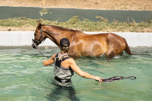 Ecurie du Murinais Balneotherapie Equine