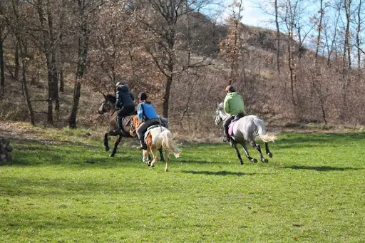 La Cavale des Prés - Centre Equestre - Réouverture Club le 15 Septembre - Ecurie de Propriétaires - Val des Prés