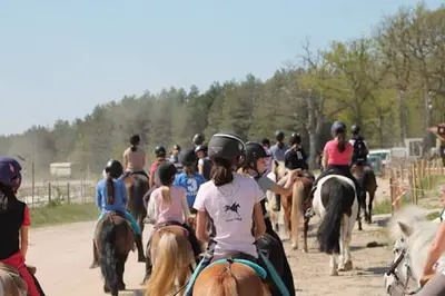 Haras de la Vallée