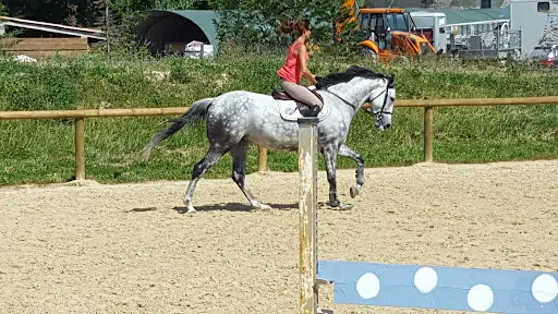 Ecurie de Bois Joli