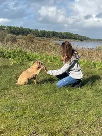 Cabot Kaboche - Éducation Canine