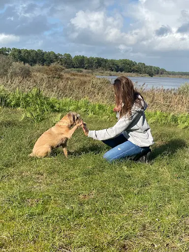 Cabot Kaboche - Éducation Canine