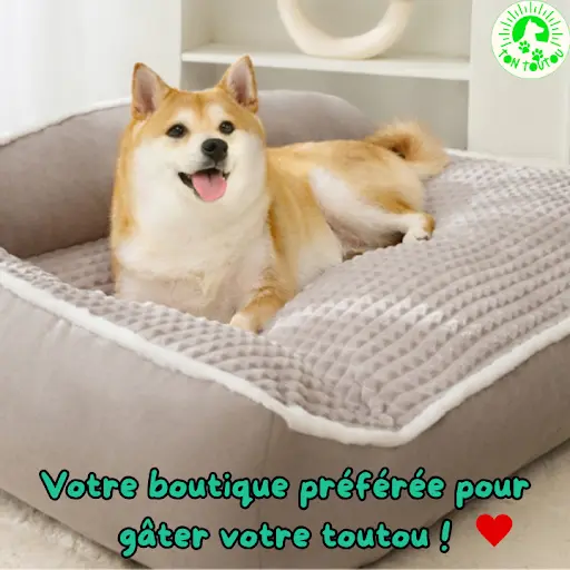 Tontoutou