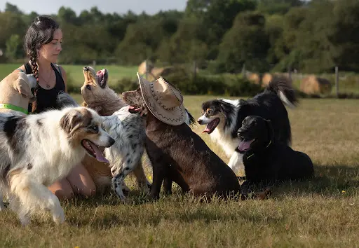 O Ranch Canin
