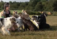 O Ranch Canin
