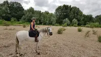 Cavalcade