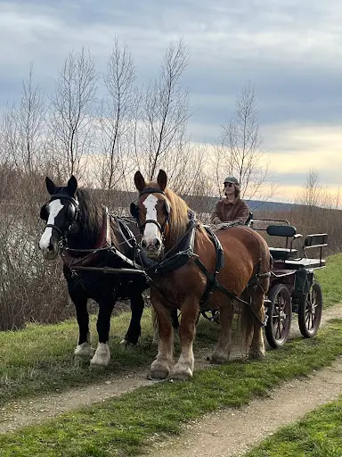 Cheval de Cisse