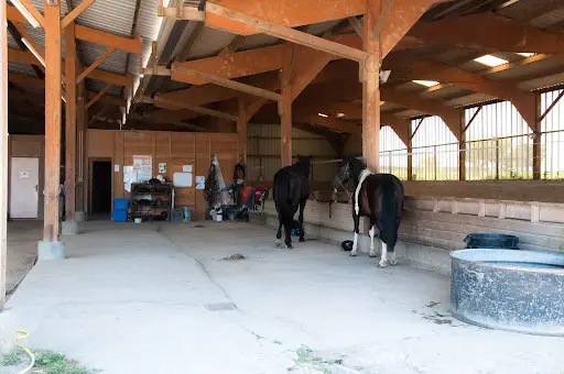Le Fosse Earl