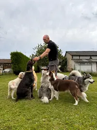 Pat4dogs - Éducation et Pension Canine