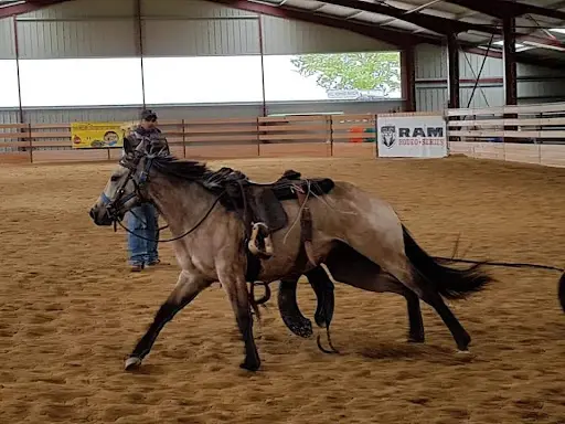 Will Roping Ranch