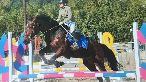 Centre Equestre de la Tour