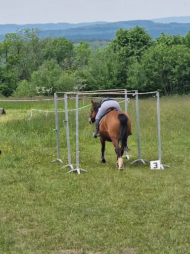 Cavalerie de la Petite Montagne - Juracheval