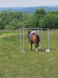 Cavalerie de la Petite Montagne - Juracheval