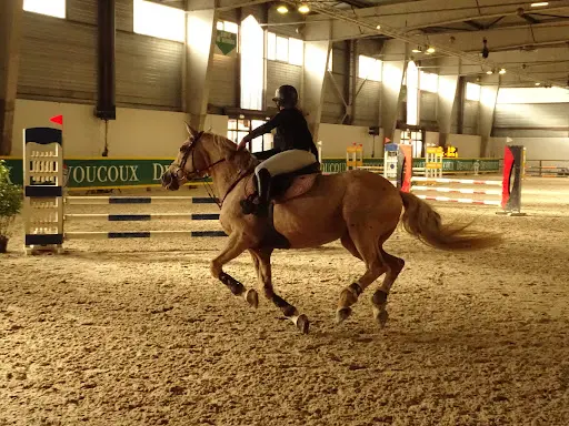 Cheval Expo Nancy