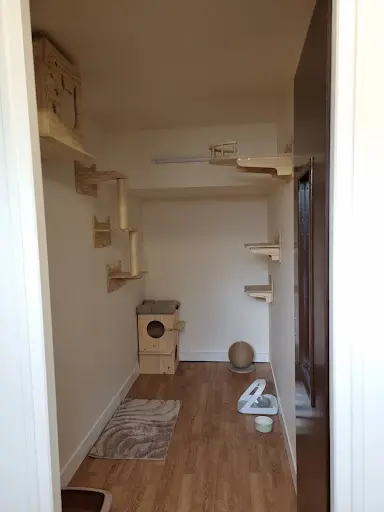 Félins Sereins - Hôtel Pour Chats