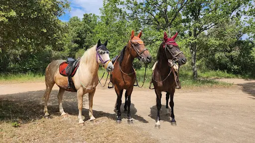 La Cabane aux Chevaux