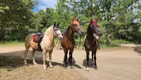 La Cabane aux Chevaux