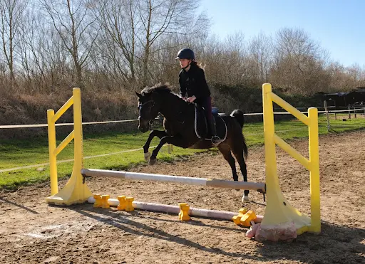 Poney Club de Cabourg - le Home