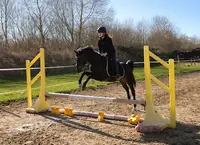 Poney Club de Cabourg - le Home