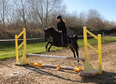 Poney Club de Cabourg - le Home