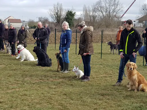 Club Canin Team Dog