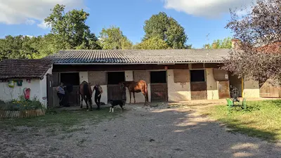 Centre Equestre la Rose des Vents