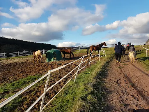 Ferme Equestre de Poifond