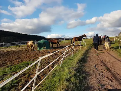 Ferme Equestre de Poifond