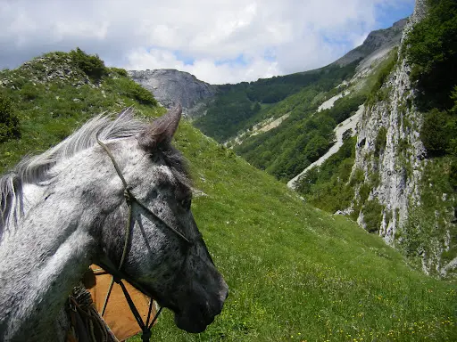 Parole de Cheval