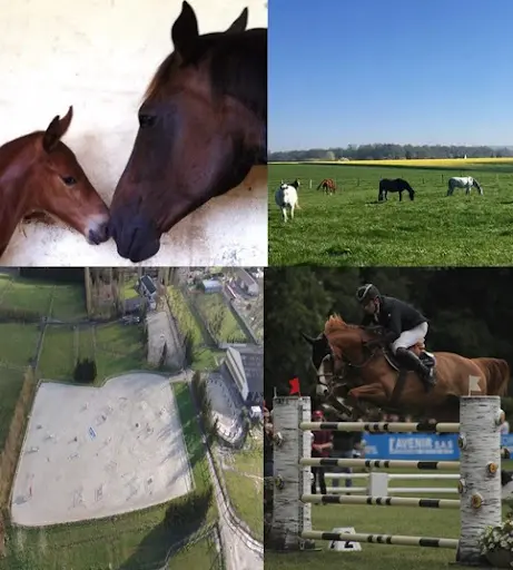 Haras de la Fontaine