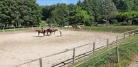 Poney Club de l'Etang