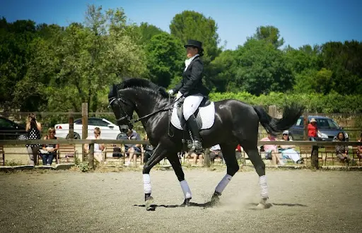Aettc les Chevaux de Carreau