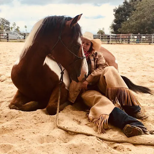 Noémie Grégoire Équitation Western