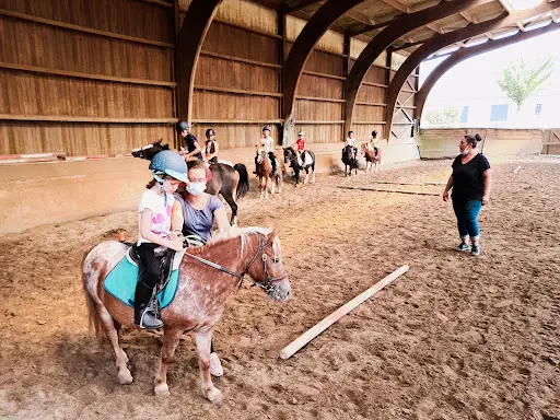 Ecurie de Propriétaires Bordeaux Cso Stéphane Lallemant - Domaine des Artigaux - Pension Chevaux - Poney Club Fermé