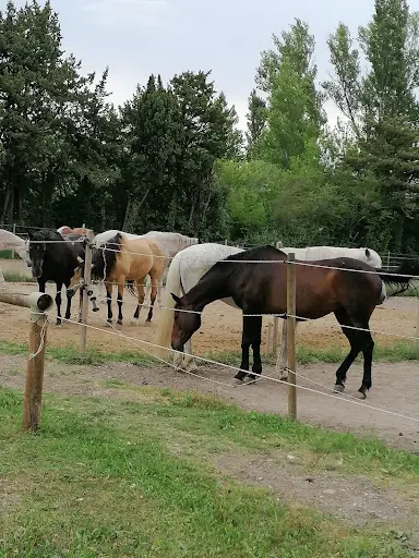 Les Ecuries de la Yourte