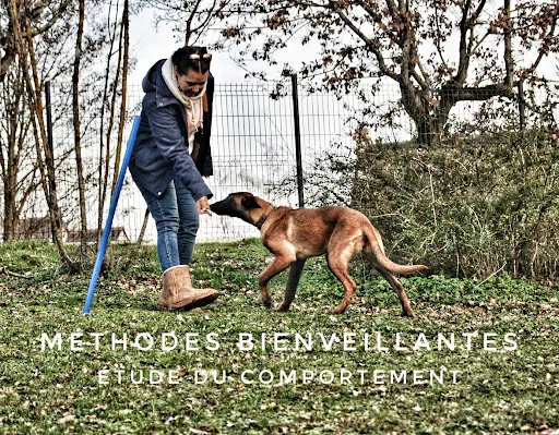 La Vallée des Lys - Éducateur Canin