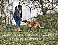 La Vallée des Lys - Éducateur Canin