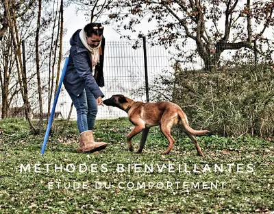 La Vallée des Lys - Éducateur Canin