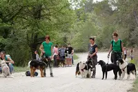 Éducateur Canin le Champ des Chiens
