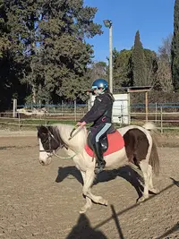 Poney Club d'Iloé