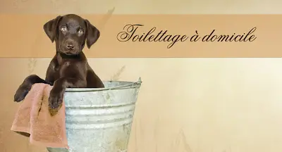 Le Chien des Baous