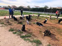 l'École des 4 Pattes