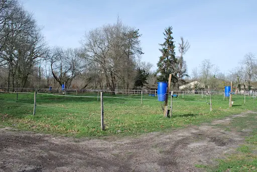 Centre D’insémination et Élevage de Chevaux Exelsior