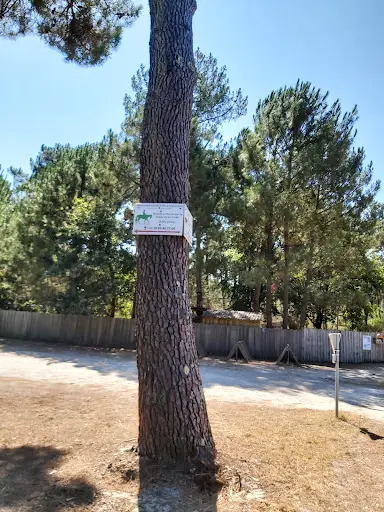 Centre Equestre de Perigueys, Montalivet Equitation