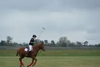 Medoc Polo Club