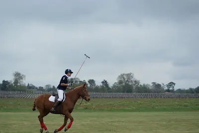 Medoc Polo Club