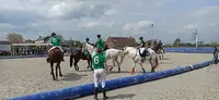 Ecurie du Peuplier